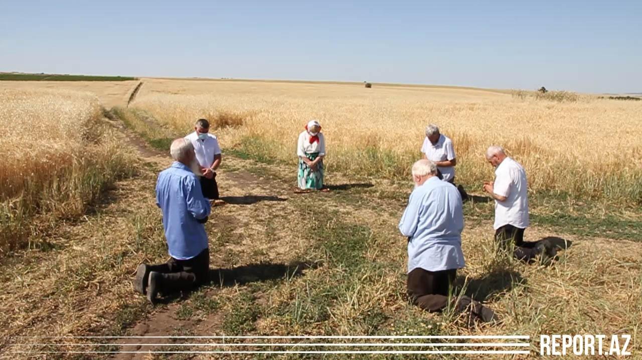 Жизнь в деревне азербайджан ютуб. Ивановка Азербайджан колхоз. Совхоз Ивановка Азербайджан. Деревня староверов в Азербайджане. Колхоз молокан в Азербайджане.